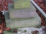 image of grave number 810115